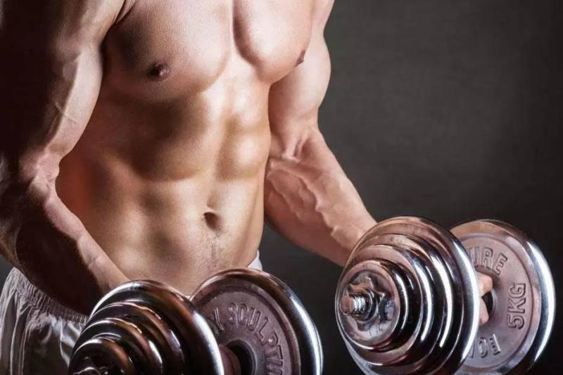 Why body grow slowly during steroid Cycle?